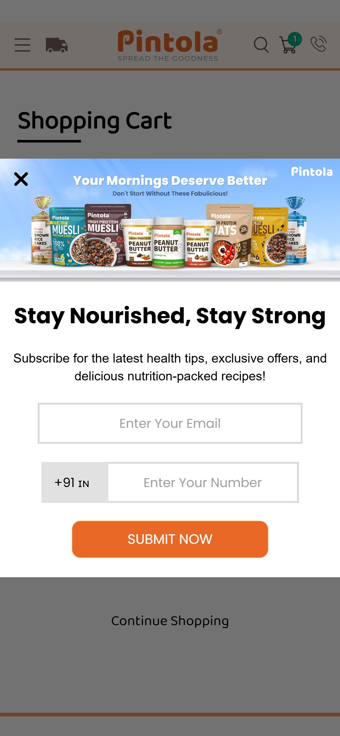 Pintola â€” Cart (No Shipping Progress Bar)